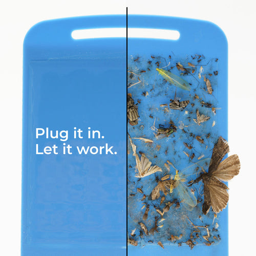 Wondercide Flying Insect Trap
