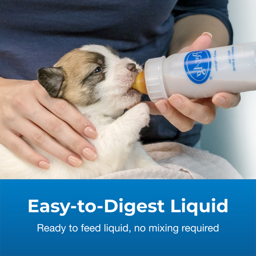 Pet-Ag PetLac™ Liquid for Puppies